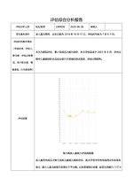 评估综合分析报告